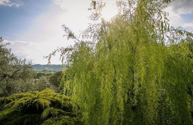 Charming Retreat in Armaiolo - Foto 31