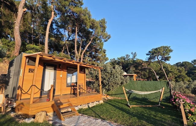TİNY MİNİ HOUSE - Foto 22