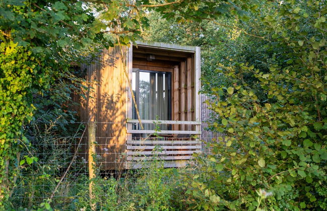 Peaceful Forest Getaway by Belvilla - Foto 26