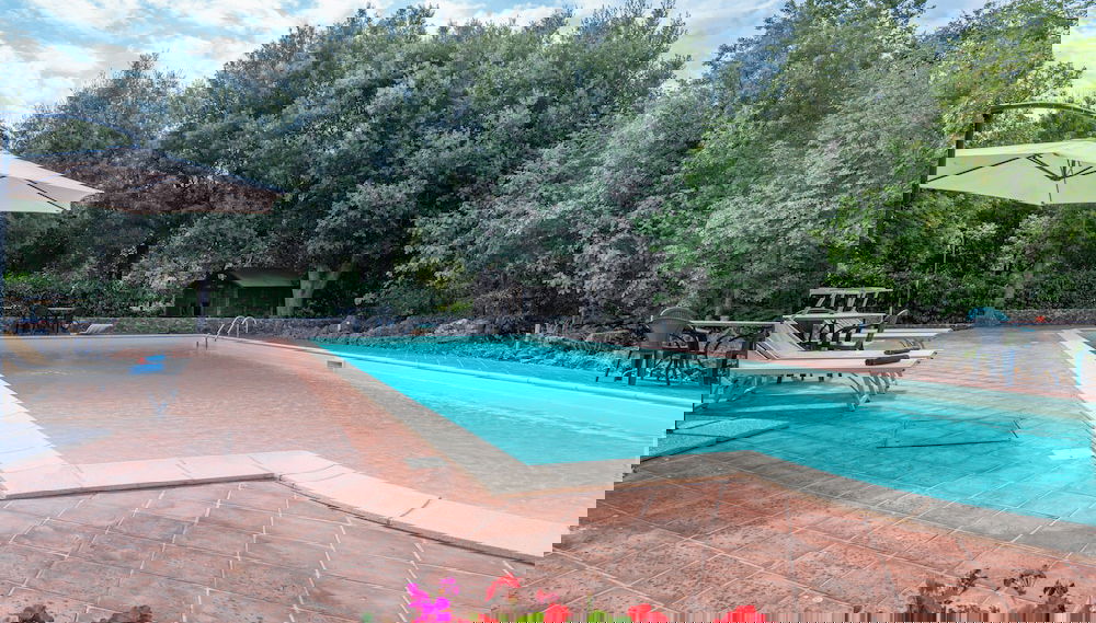 Imagem principal