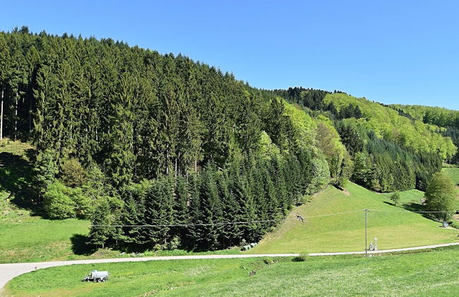 Black Forest Farmhouse in Charming Location - Photo 24
