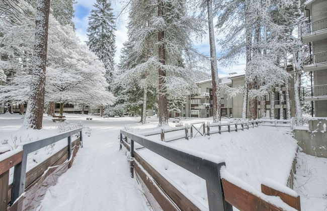 Comfort Tra Fiume E Pini - Foto 30