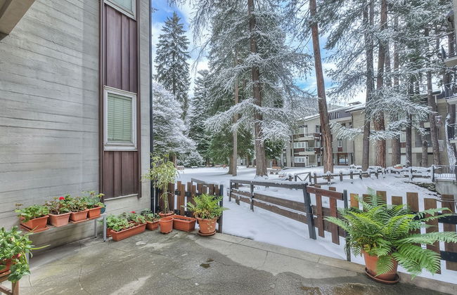 Comfort Tra Fiume E Pini - Foto 20