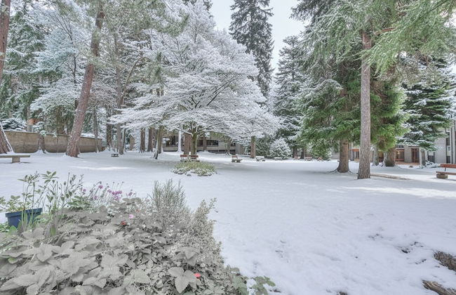 Comfort Tra Fiume E Pini - Foto 29