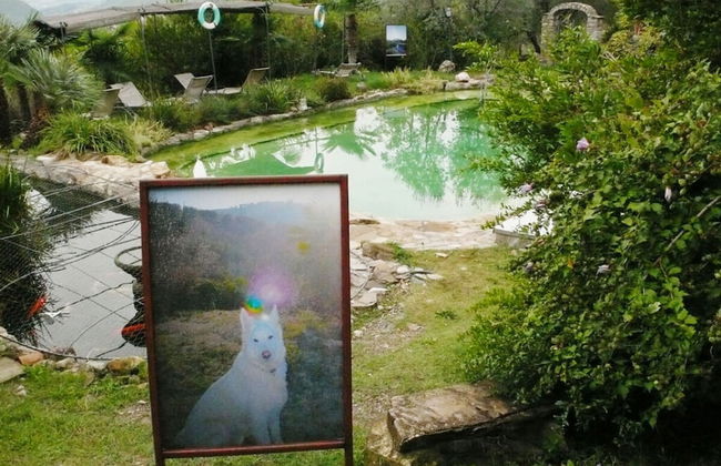Casa Juliana Comfortable Holiday Residence - Foto 5
