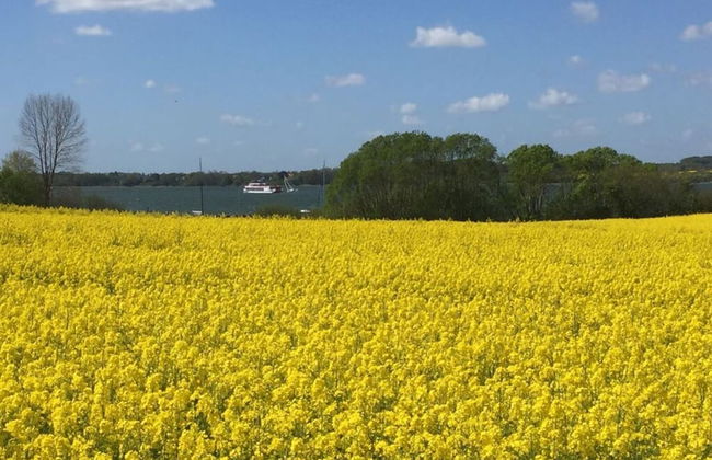 Nordgluck Modern Retreat - Foto 9