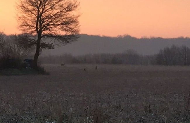 Nordgluck Modern Retreat - Foto 12