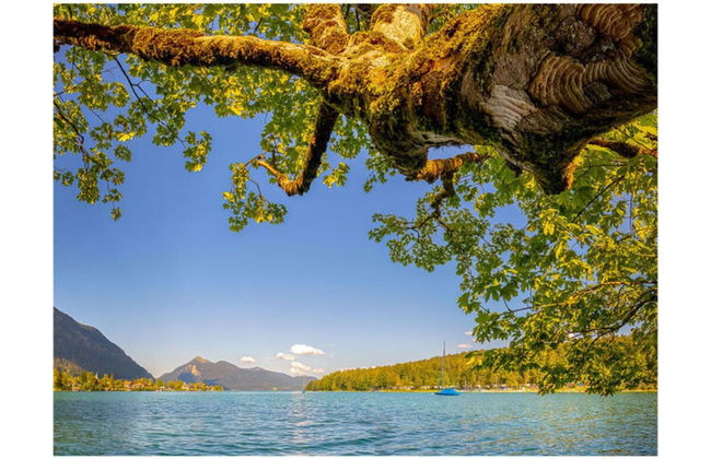 No. 2 - Country House Geierstanger - Foto 23