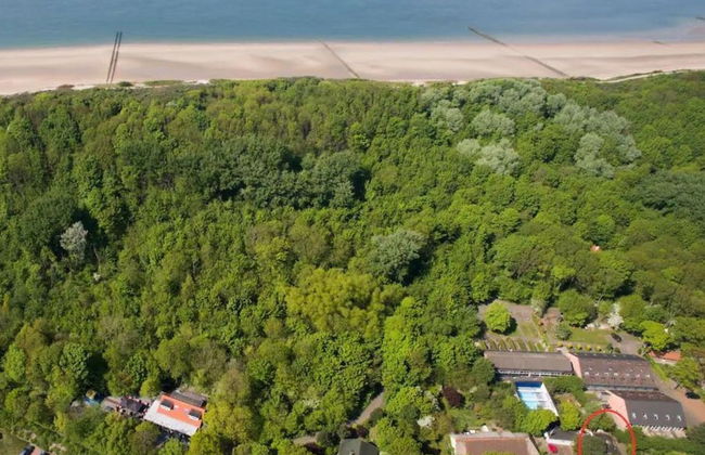 Cozy Apartment at the Foot of the Dunes - Foto 22