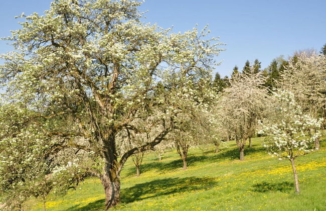 Apartment on the Isenmann Fruit Farm - Foto 33