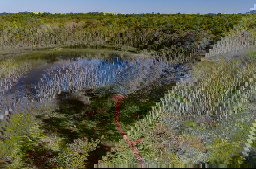 Foto 50 - The Rushes
