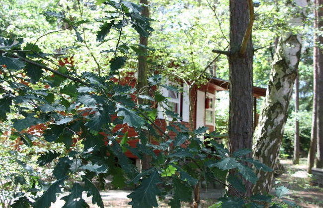 Haus am Kolberg Modern Retreat - Photo 16