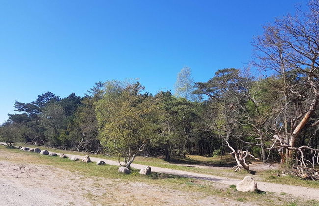 4 Star Holiday Home in Frederiksvaerk - Foto 13
