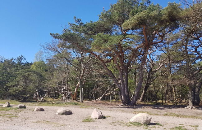 4 Star Holiday Home in Frederiksvaerk - Foto 17