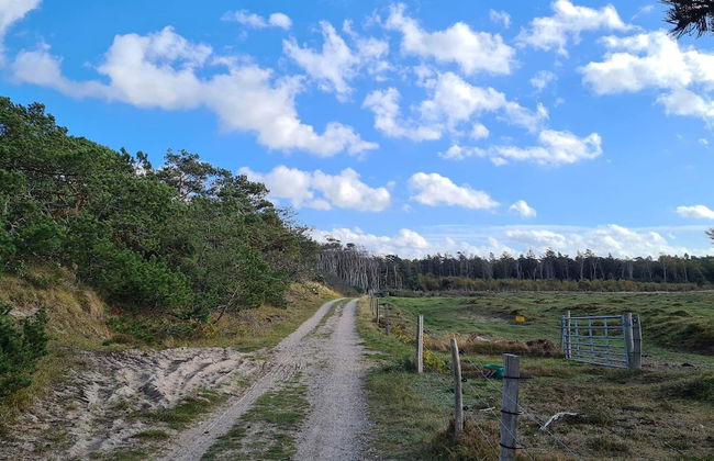 4 Star Holiday Home in Frederiksvaerk - Foto 12