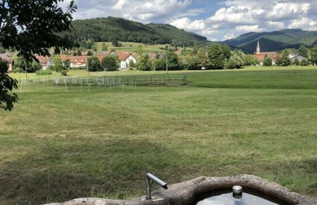 am Gassle - Foto 34