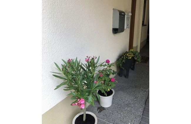 am Gassle - Foto 32