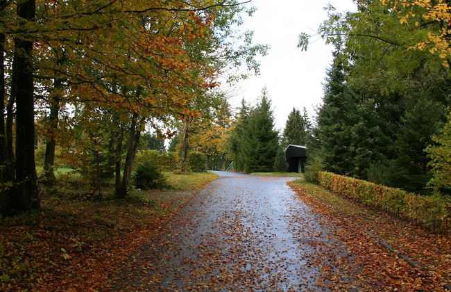 Tidy Holiday Home With Dishwasher, in a Green Area - Foto 22