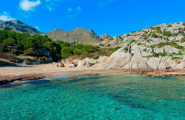 Cala Clara in Cala Sant Vicen - Photo 3