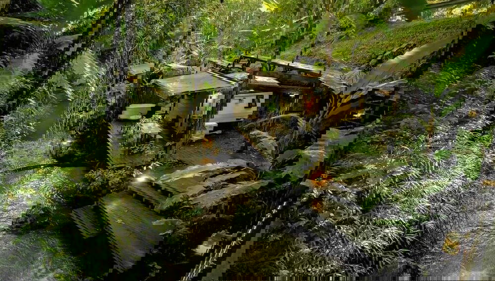 Immagine principale