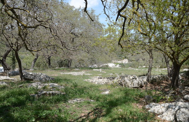 "sifakis Gorgeous Stone House" - Photo 18
