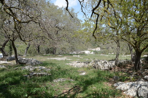 Photo 18 - sifakis Gorgeous Stone House