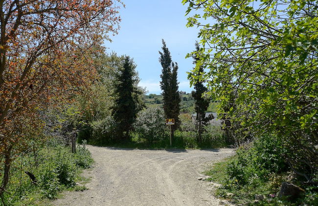 "sifakis Gorgeous Stone House" - Photo 15