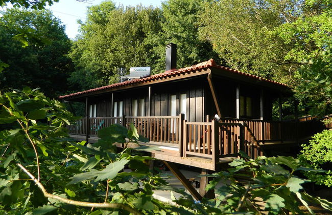 Treehouse Quinta Lamosa - Foto 1