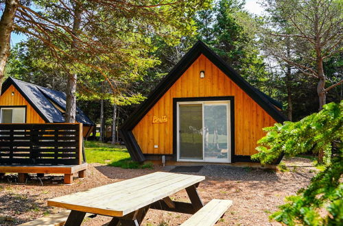 Foto 6 - Wild Pines Cabins