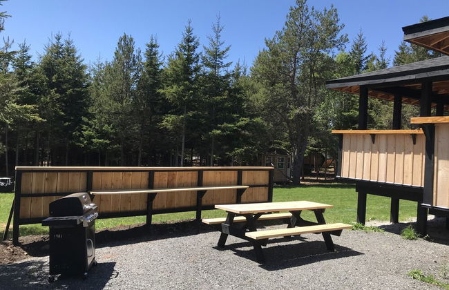 Wild Pines Cabins - Foto 30