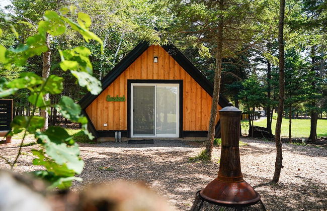 Wild Pines Cabins - Foto 4