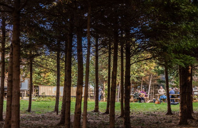 Wild Pines Cabins - Foto 28