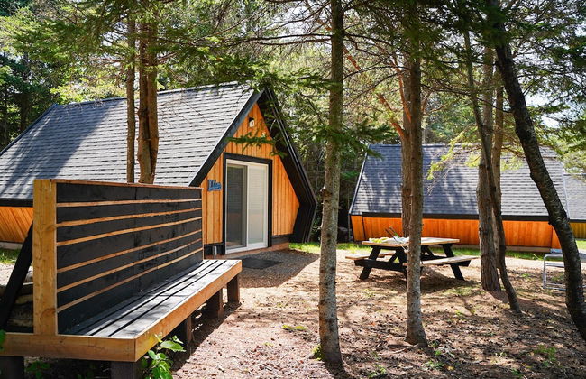 Wild Pines Cabins - Foto 3