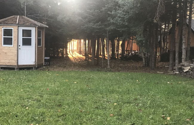 Wild Pines Cabins - Foto 27