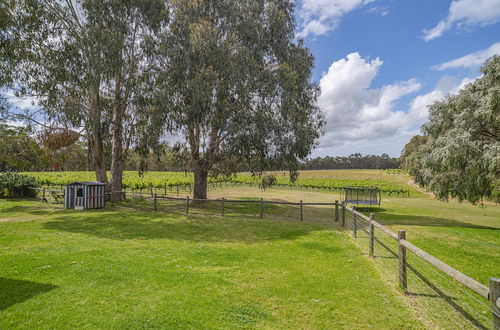 Photo 44 - Island Brook Estate Vineyard and Chalets