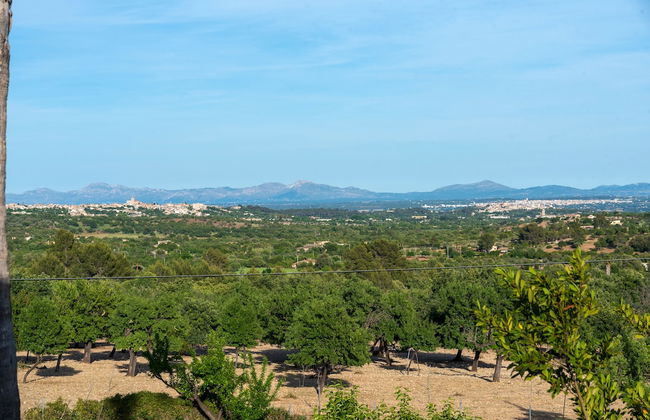 Agroturisme Subies - Foto 7