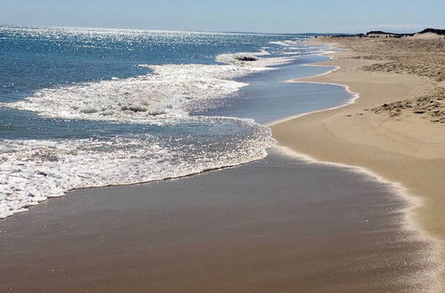 Photo 4 - Charming Martha's Vineyard Home Near Beach & Town