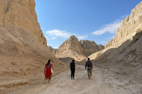 Photo 17 - Belfer's Dead Sea cabins- Apartments