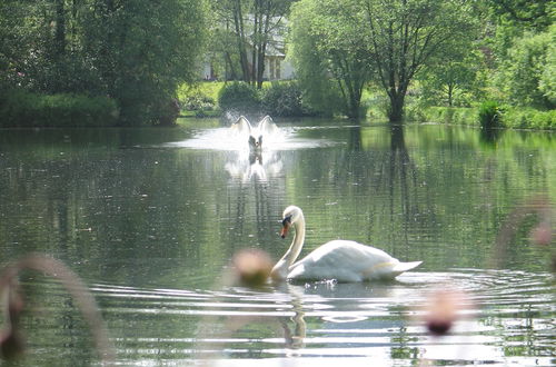 Foto 37 - Lake Country House Hotel & Spa