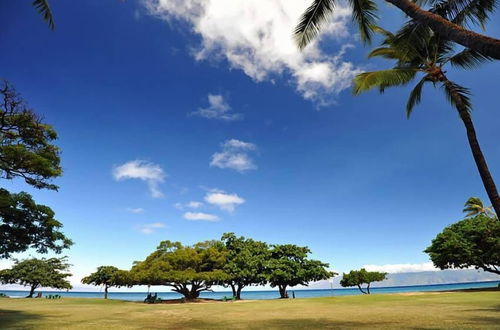 Photo 28 - Wonderful Honokowai Beach Condos