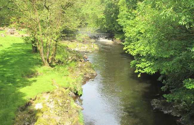 Charming 3-bed Cottage in Llandysul - Foto 5