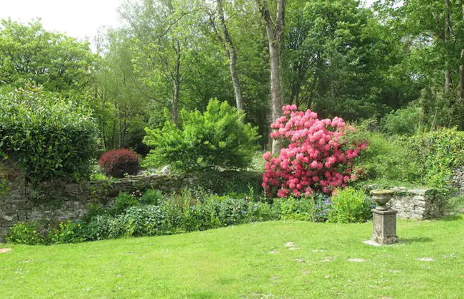 Charming 3-bed Cottage in Llandysul - Foto 9