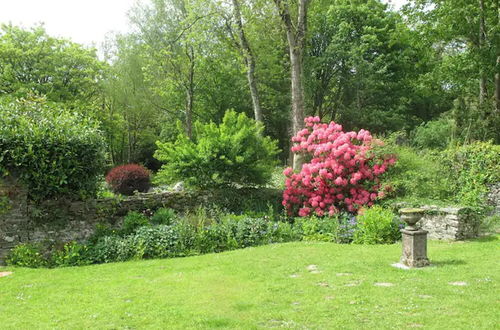 Photo 8 - Charming 3-bed Cottage in Llandysul