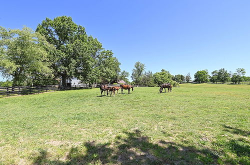 Photo 10 - Cozy Georgetown Cottage on a Working Horse Farm