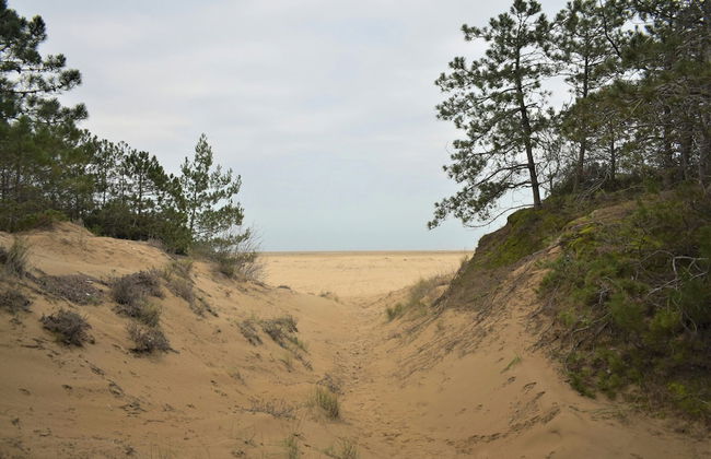 Apartment Near the Beach - Beahost - Foto 12