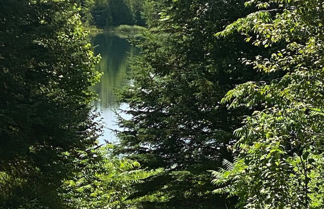 Le Ptit Canada Escape - Foto 23