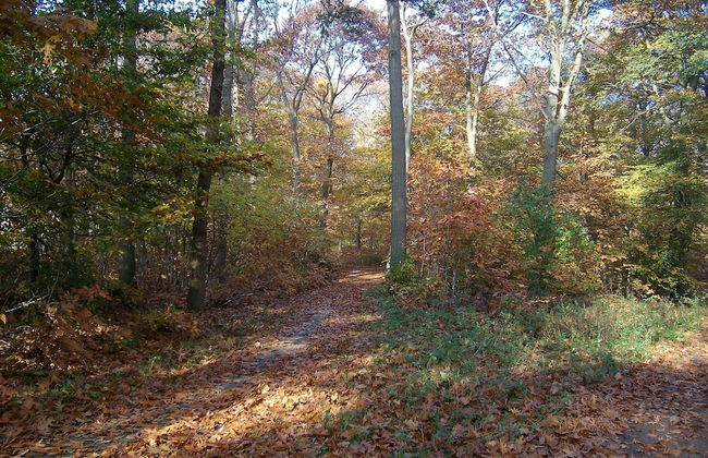 Quiet Glade Stay With Kid - Foto 55