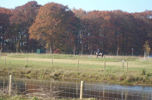 Photo 21 - Pleasant Holiday Home With Terrace