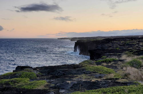 Photo 4 - 'the Aloha Green House' Retreat w/ Ocean Views