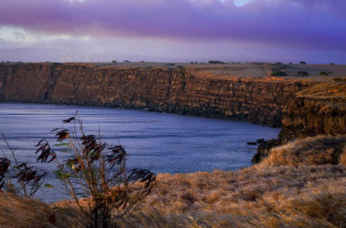 Photo 3 - 'the Aloha Green House' Retreat w/ Ocean Views